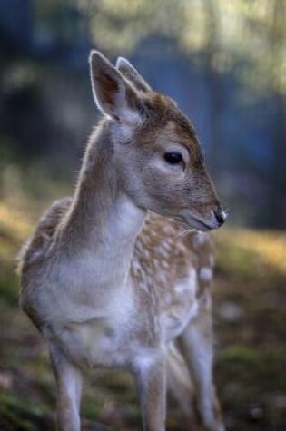 Cover of Cute Baby Deer Journal