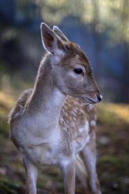 Book cover for Cute Baby Deer Journal