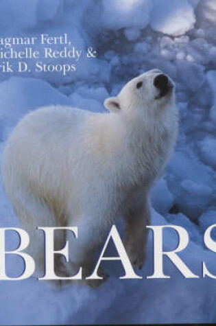 Cover of Bears