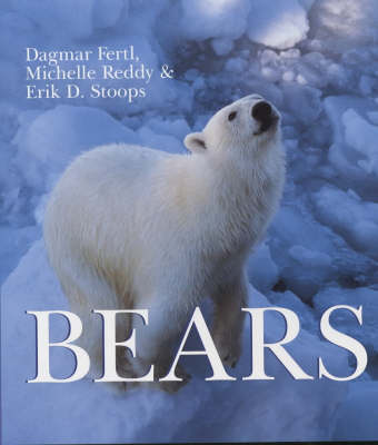 Book cover for Bears