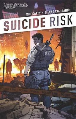 Book cover for Suicide Risk Vol. 1