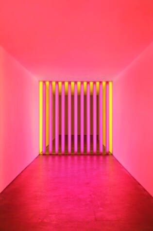 Cover of Dan Flavin: Corners, Barriers and Corridors