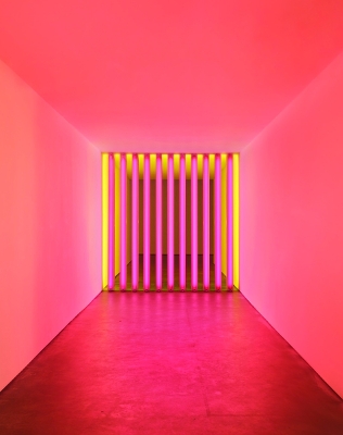 Book cover for Dan Flavin: Corners, Barriers and Corridors