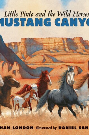 Cover of Little Pinto and the Wild Horses Of Mustang Canyon