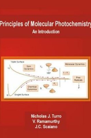 Cover of Principles of Molecular Photochemistry