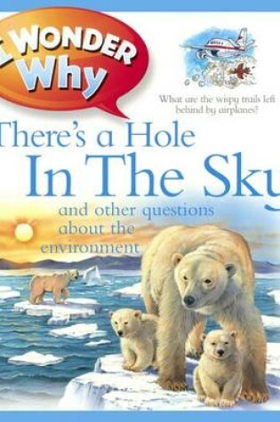 Cover of I Wonder Why There's a Hole in the Sky and Other Questions about the Environment