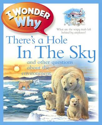 Cover of I Wonder Why There's a Hole in the Sky and Other Questions about the Environment