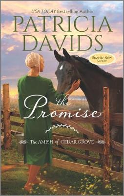 Book cover for The Promise