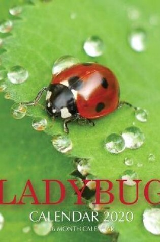 Cover of Lady Bug Calendar 2020