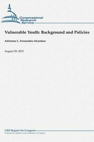 Cover of Vulnerable Youth