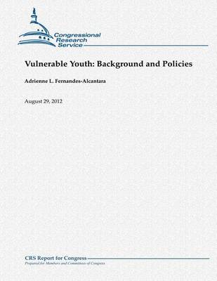 Book cover for Vulnerable Youth