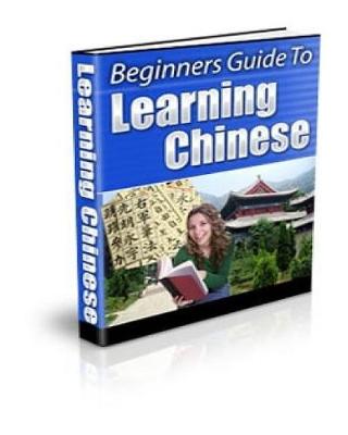 Book cover for Beginners Guide To Learning Chinese