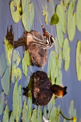 Book cover for Great Crested Grebe in the Lily Pads Journal