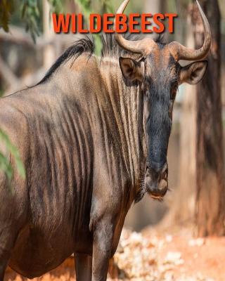 Book cover for Wildebeest