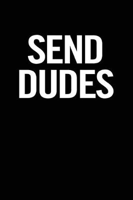 Book cover for Send Dudes