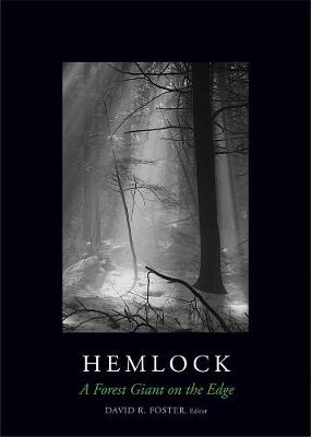 Book cover for Hemlock