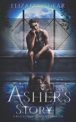 Cover of Asher's Story