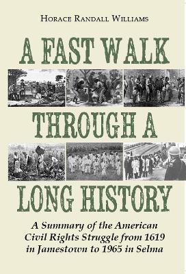 Book cover for A Fast Walk Through a Long History