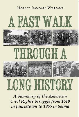 Book cover for A Fast Walk Through a Long History