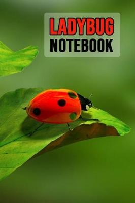 Book cover for Ladybug Notebook