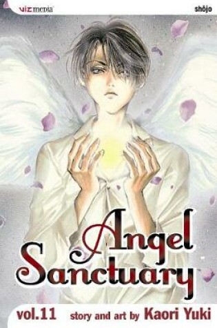 Angel Sanctuary, Vol. 11