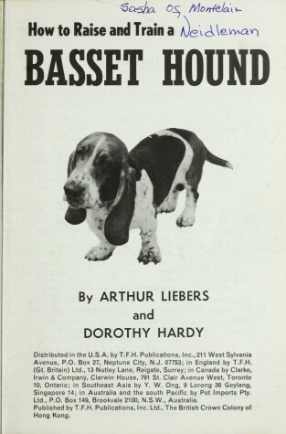 Book cover for Basset Hound