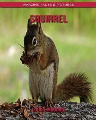 Book cover for Squirrel