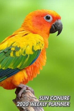 Cover of Sun Conure 2020 Weekly Planner