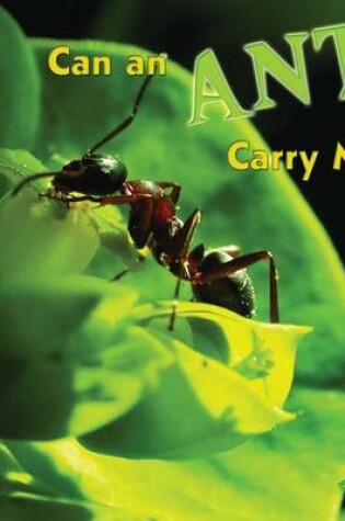 Cover of Can an Ant Carry Me?