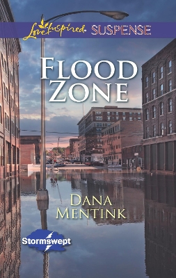 Book cover for Flood Zone