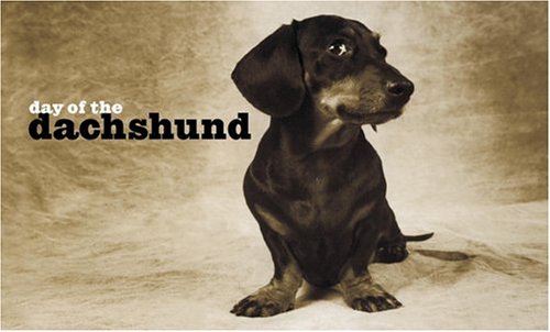 Book cover for Day of the Dachshund Note Cards