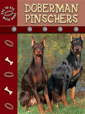 Cover of Doberman Pinschers