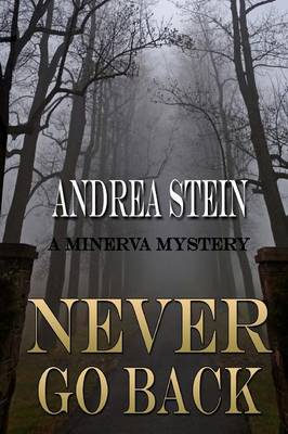 Book cover for Never Go Back