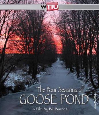 Book cover for The Four Seasons of Goose Pond