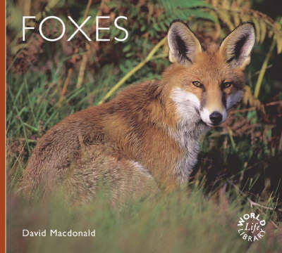Book cover for Foxes