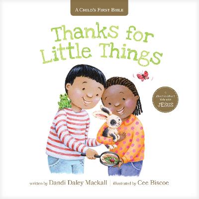 Book cover for Thanks for Little Things