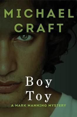 Cover of Boy Toy