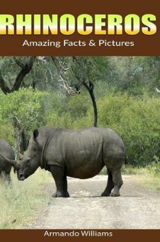 Cover of Rhinoceros