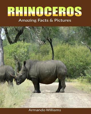 Book cover for Rhinoceros