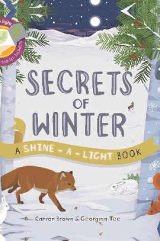 Cover of Shine A Light Secrets of Winter