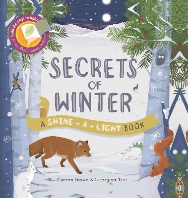 Book cover for Shine A Light Secrets of Winter