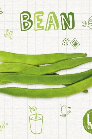 Cover of Bean