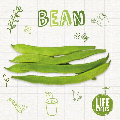 Cover of Bean