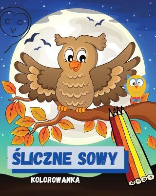 Cover of Śliczne sowy Kolorowanka