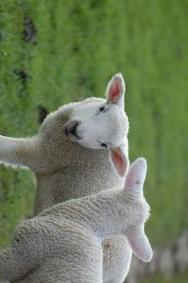 Book cover for Two Little White Lambs in a Green Grass Field Journal