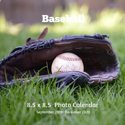 Book cover for Baseball 8.5 X 8.5 Calendar September 2019 -December 2020