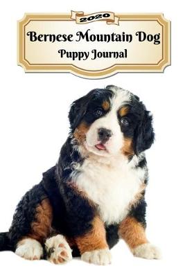 Book cover for 2020 Bernese Mountain Dog Puppy Journal