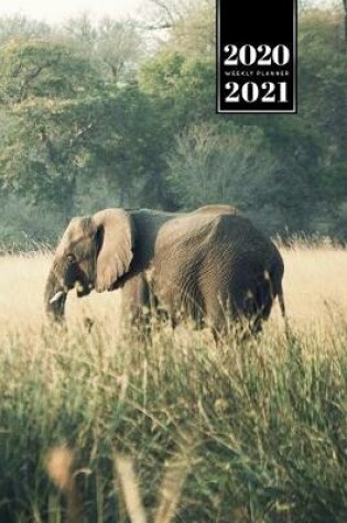 Cover of Elephant Mammoth Week Planner Weekly Organizer Calendar 2020 / 2021 - In High Grass