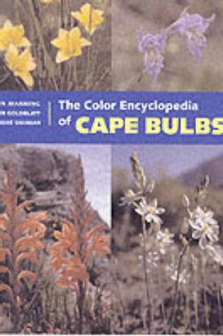 Cover of Color Encyclopedia of Cape Bulbs