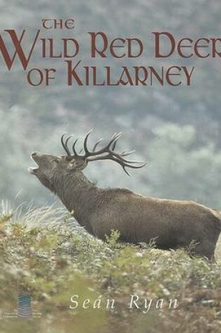 Cover of The Wild Red Deer of Killarney